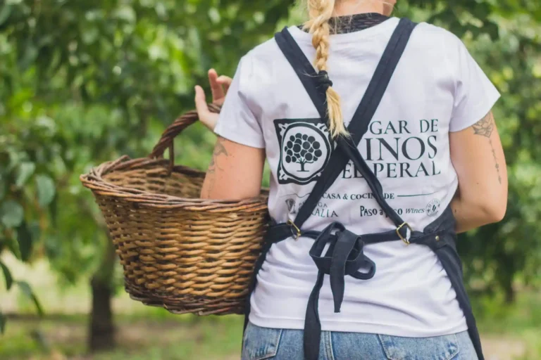 Experiencia Gastronómica en El Peral, Tupungato